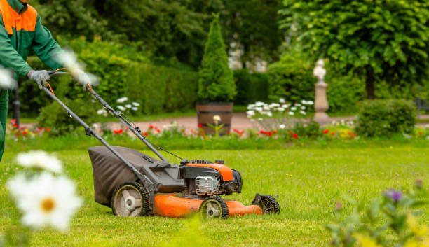 Lawn mowing and garden maintenance